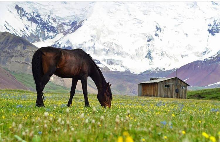 Pamir Nomad Yurt Camp Hotel Kara-Kavak Buitenkant foto